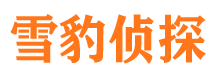 雁江捉小三公司